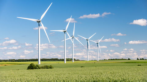Le portail répertorie notamment le potentiel de production de chaque type d'énergie renouvelable sur le territoire.