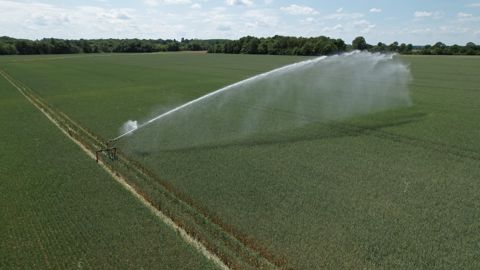 Selon un rapport interministériel, il faudra à moyen terme « accompagner la profession vers des modèles d’agriculture non irriguée ou seulement très partiellement irriguée ».
