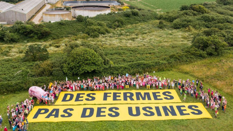 Les militants ont déroulé une banderole « Des fermes, pas des usines » à quelques centaines de mètres de la porcherie d'Avel Vor.