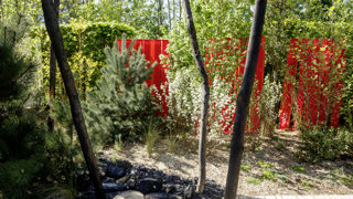 Tristan, apprenti en BTS aménagement paysager en Dordogne, s’est investi dans le jardin « Terre de feu », carte verte offerte à Franck Serra (un paysagiste du Périgord) au sein du festival. Tristan, apprenti en BTS aménagement paysager en Dordogne, s’est investi dans le jardin « Terre de feu », carte verte offerte à Franck Serra (un paysagiste du Périgord) au sein du festival.