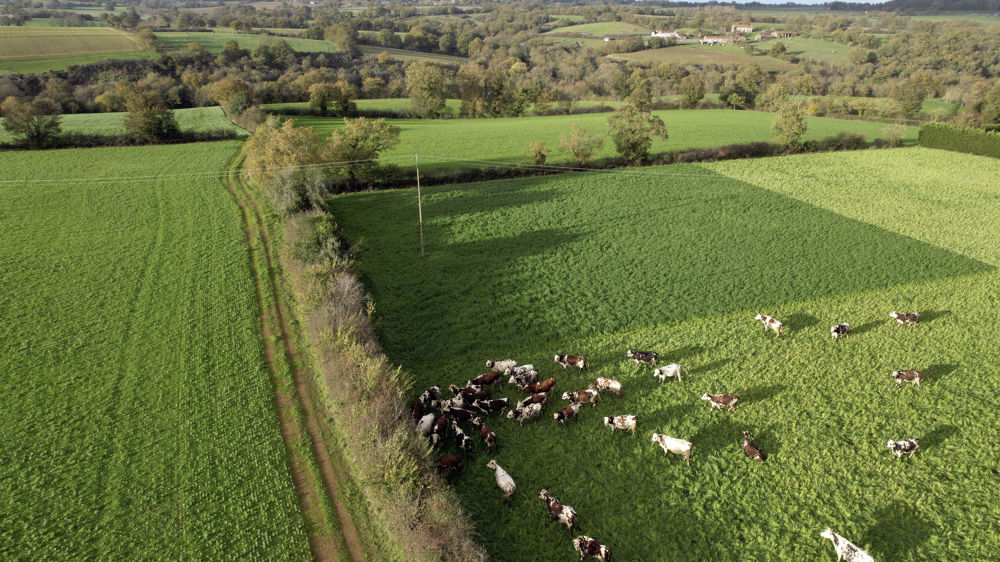 La réduction des émissions en élevages et la décarbonation des fertilisants sont identifiées comme deux enjeux majeurs pour le secteur agricole.