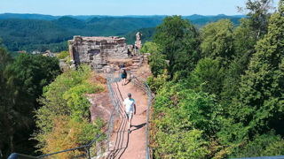 Vestiges du Château de Falkenstein, Parc des Vosges du Nord, Moselle Vestiges du Château de Falkenstein, Parc des Vosges du Nord, Moselle