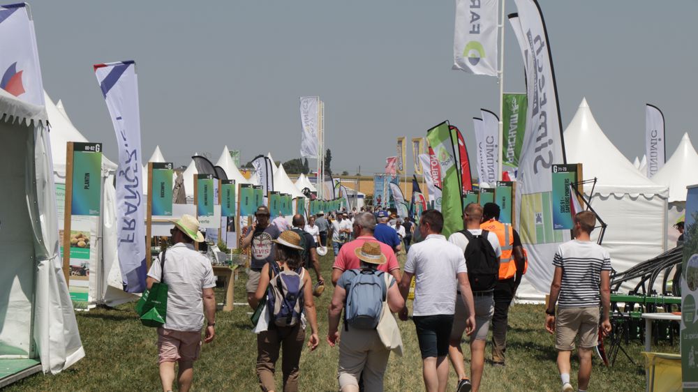 Aux Culturales, dans l'Essonne, 15 000 visiteurs français et internationaux sont attendus pendant deux jours.