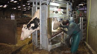 Tous formés de la même façon, les pareurs enregistrent les informations de manière homogène ce qui fournit une base de données de qualité pour la sélection.