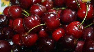 Au 1er juin 2023, la production de cerises attendue est en baisse.. Au 1er juin 2023, la production de cerises attendue est en baisse..