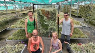L’entreprise horticole Tillandsia prod présentera ses produits à l’Elysée début juillet. Des plantes adaptées au changement climatique… exportées un peu partout dans le monde. L’entreprise horticole Tillandsia prod présentera ses produits à l’Elysée début juillet. Des plantes adaptées au changement climatique… exportées un peu partout dans le monde.
