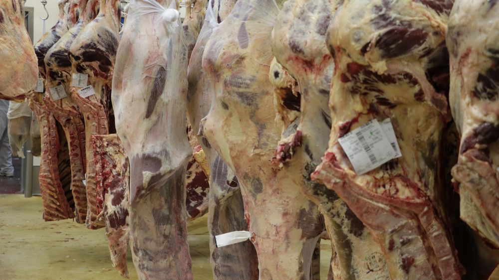 Terrena récupère les parts de sa filiale Elivia, et en devient l'unique actionnaire. (photo d'illustration)