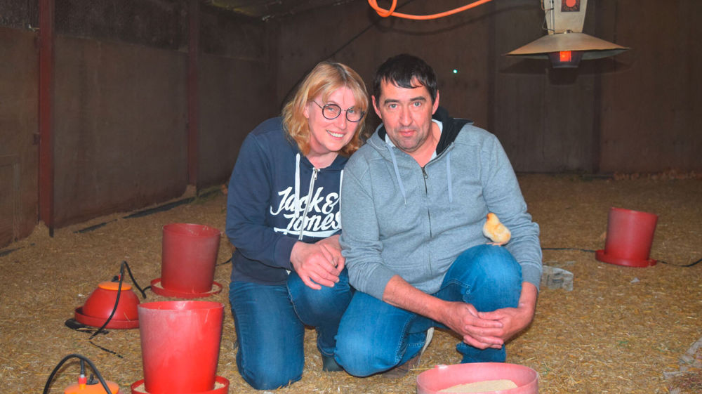 « Depuis notre installation il y a 28 ans, nous avons toujours essayé d’être le plus autonome possible », témoignent Françoise et Loïc Rompillon, éleveurs à Saint-Mathurin-sur-Loire dans le Maine-et-Loire.
