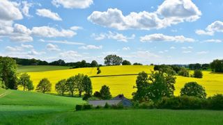Le retour au calme va se poursuivre jusqu'au milieu de la semaine prochaine. Le retour au calme va se poursuivre jusqu'au milieu de la semaine prochaine.