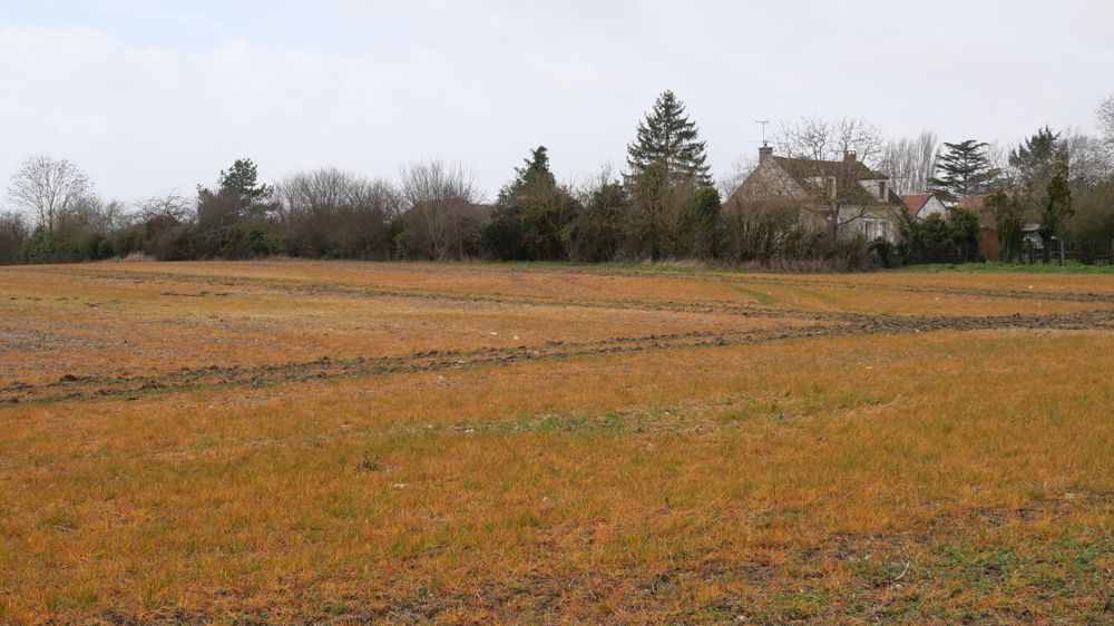 L'extension d'autorisation du glyphosate prend fin le 15 décembre 2023.