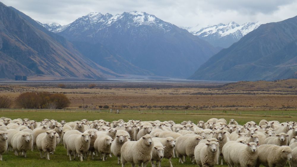 Le Conseil de l’Union européenne vient d'approuver la signature de l’accord de libre-échange avec la Nouvelle-Zélande.