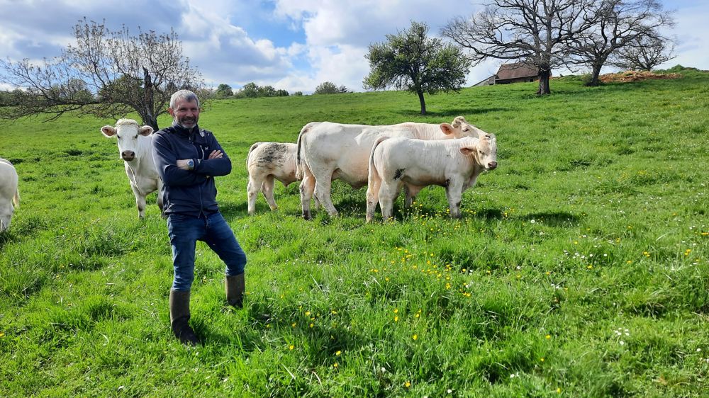 Pour Jean-François Loreau, une vache doit faire son veau de 50 kg sans problème et l’élever seule.