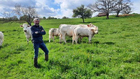 Pour Jean-François Loreau, une vache doit faire son veau de 50 kg sans problème et l’élever seule. Pour Jean-François Loreau, une vache doit faire son veau de 50 kg sans problème et l’élever seule.