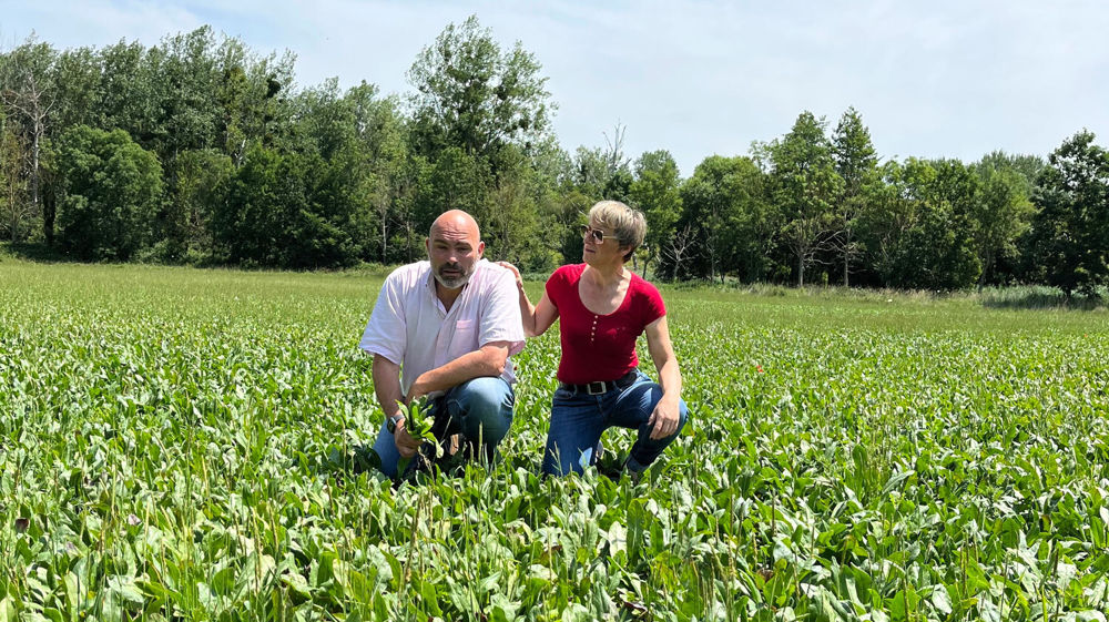 Avec le pastel, Arnaud Besnier (ici en compagnie d'Aurore Cottrel) a trouvé une nouvelle tête d'assolement après la fermeture de la sucrerie de Cagny.