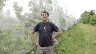 Alex Franc utilise des filets monorang Alt'Carpo pour protéger ses pommiers et ses poiriers du carpocapse. Alex Franc utilise des filets monorang Alt'Carpo pour protéger ses pommiers et ses poiriers du carpocapse.