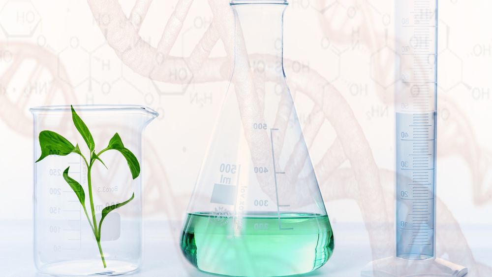 Si de nombreux Etats membres ont salué la proposiion de la Commission européenne sur les NBT, d'autres ont fait part de leurs inquiétudes.