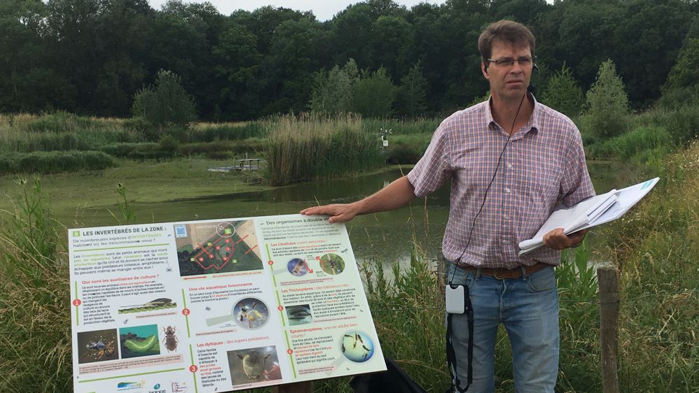 Entre l'entrée et la sortie de la zone tampon humide artificielle, « la quantité de nitrates a réduit de 11 % et celle des phytos, de 37 % en moyenne », explique Julien Tournebize, de l'Inrae.