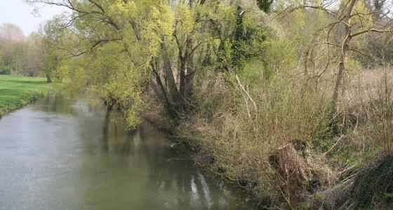 Cours d'eau