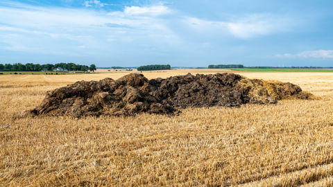 La calculette proposée par Arvalis peut servir de base de négociation entre éleveurs et céréaliers. La calculette proposée par Arvalis peut servir de base de négociation entre éleveurs et céréaliers.