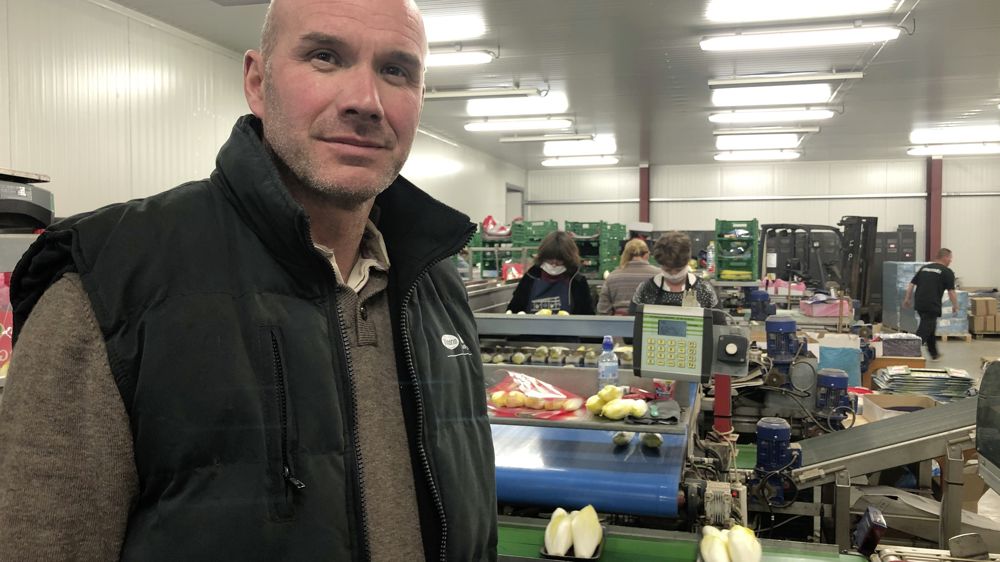 Philippe Bréhon, président des Endiviers de France : « La production devrait encore baisser en 2023 car les surfaces ont à nouveau reculé et les semis d’endives ont été plus compliqués. »