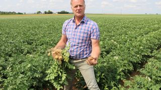 « Au 25 juillet, nous n’avons réalisé que 4 traitements anti-mildiou, 1 à un tiers de dose, et 3 à demi-dose », explique  Christophe Desmis.