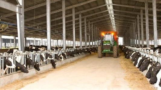 TH Milk Vietnam