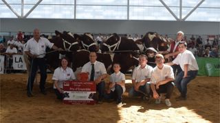 Le prix d'ensemble a été remis à David Cadet, éleveur dans la Mayenne. Le prix d'ensemble a été remis à David Cadet, éleveur dans la Mayenne.