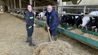 Depuis l’automne, Annick et Christophe Benoist paillent tous les matins à la main les six cases à veaux âgés de 2 à 3 semaines à 6 mois. Ce temps est aussi l’occasion d’observer les jeunes animaux et de les familiariser à la présence humaine. Depuis l’automne, Annick et Christophe Benoist paillent tous les matins à la main les six cases à veaux âgés de 2 à 3 semaines à 6 mois. Ce temps est aussi l’occasion d’observer les jeunes animaux et de les familiariser à la présence humaine.