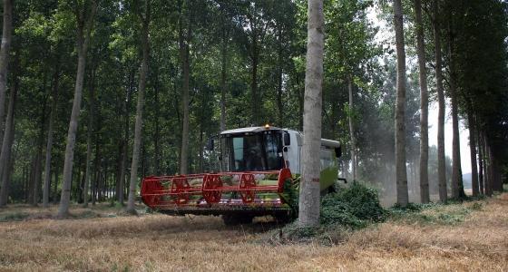 Agroforesterie