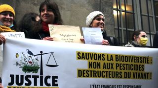 « En refusant de revoir sa gestion des pesticides, l’État refuse de protéger ses citoyens et l’ensemble du vivant sur le territoire français », estiment les 5 ONG.