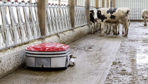 Le robot aspirateur est une solution d'entretien des bétons des aires d'exercice, à l'exception de ceux qui contiennent de la paille, même broyée.