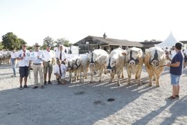 Vincent Corneloup, originaire de l'Allier, remporte le prix d'ensemble du concours national charolais de 2023.