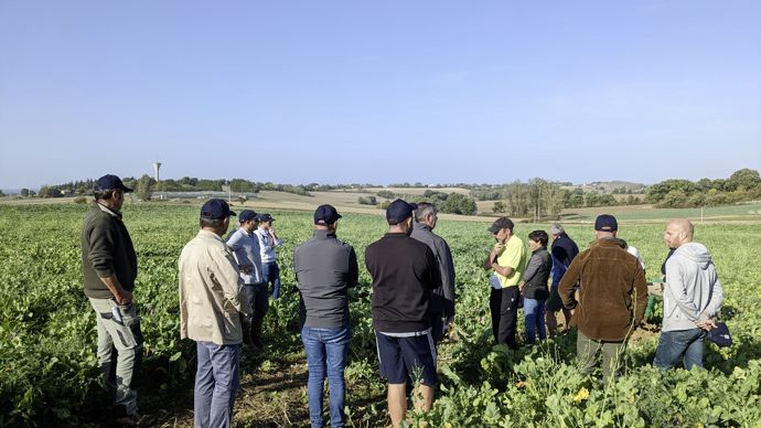 Les premières animations des collectifs Expea de Terres du Sud auront lieu dans les prochains jours.