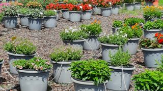 La gestion de l’eau en horticulture et en pépinière sera abordée les 27 et 28 septembre en particulier via le retour d’expérience de deux entreprises à visiter sur le terrain. La gestion de l’eau en horticulture et en pépinière sera abordée les 27 et 28 septembre en particulier via le retour d’expérience de deux entreprises à visiter sur le terrain.