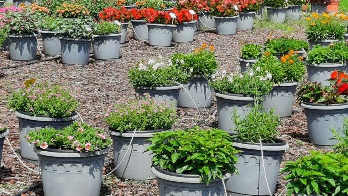 La gestion de l’eau en horticulture et en pépinière sera abordée les 27 et 28 septembre en particulier via le retour d’expérience de deux entreprises à visiter sur le terrain. La gestion de l’eau en horticulture et en pépinière sera abordée les 27 et 28 septembre en particulier via le retour d’expérience de deux entreprises à visiter sur le terrain.