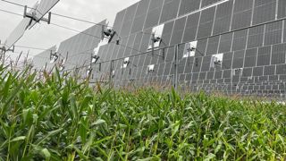 Le 21 septembre 2023, l'entreprise TSE a inauguré dans la Somme sa première « canopée agrivoltaïque » dotée d'un système d'irrigation intelligent. Le 21 septembre 2023, l'entreprise TSE a inauguré dans la Somme sa première « canopée agrivoltaïque » dotée d'un système d'irrigation intelligent.