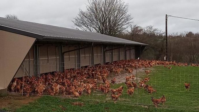 Élevage service, filiale de Maïsadour, a déjà équipé en panneaux solaires 192 sites agricoles de Nouvelle-Aquitaine depuis quinze ans.