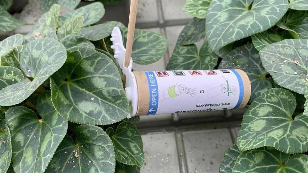 Astredhor met en test un nouvel outil d’aide à la limitation du recours aux produits phytosanitaires baptisé Baco. Il vise à favoriser la PBI, la prophylaxie… Astredhor met en test un nouvel outil d’aide à la limitation du recours aux produits phytosanitaires baptisé Baco. Il vise à favoriser la PBI, la prophylaxie…