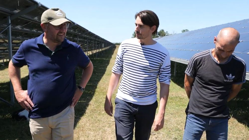 Agrivoltaïsme : panneaux et brebis font bon ménage depuis 2017 ! Agrivoltaïsme : panneaux et brebis font bon ménage depuis 2017 !