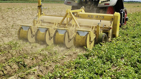 Ropa propose des rouleaux de rappui de buttes sur ses broyeurs de fanes KS.