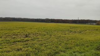 L'autorisation actuelle de mise sur le marché du glyphosate au niveau européen prend fin le 15 décembre 2023. L'autorisation actuelle de mise sur le marché du glyphosate au niveau européen prend fin le 15 décembre 2023.