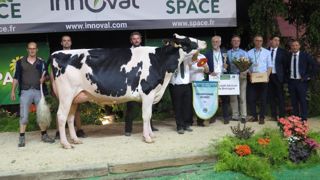 Au salon de l'élevage du Space 2023 à Rennes, le concours bovins a distingué plusieurs laitières prim'holsteins, avec comme grande championne Paisley Feuteun Sané. Au salon de l'élevage du Space 2023 à Rennes, le concours bovins a distingué plusieurs laitières prim'holsteins, avec comme grande championne Paisley Feuteun Sané.