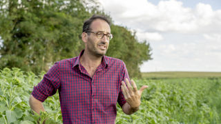 « Désormais, six ou sept espèces comme le tournesol, le sorgho, le niger, la féverole, la vesce, la phacélie ou le radis composent mes couverts », explique Émeric Duchesne, agriculteur à Borest (Oise). « Désormais, six ou sept espèces comme le tournesol, le sorgho, le niger, la féverole, la vesce, la phacélie ou le radis composent mes couverts », explique Émeric Duchesne, agriculteur à Borest (Oise).