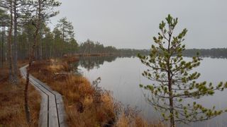 Les paysages d'Estonie sont une mosaïque de lacs et de forets. Les paysages d'Estonie sont une mosaïque de lacs et de forets.