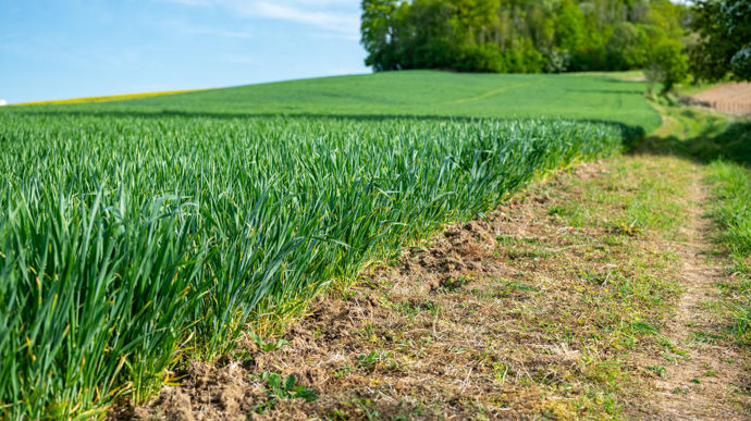 Important Requirements for Farmers Requesting Crop Insurance Aid for 2023 Campaign