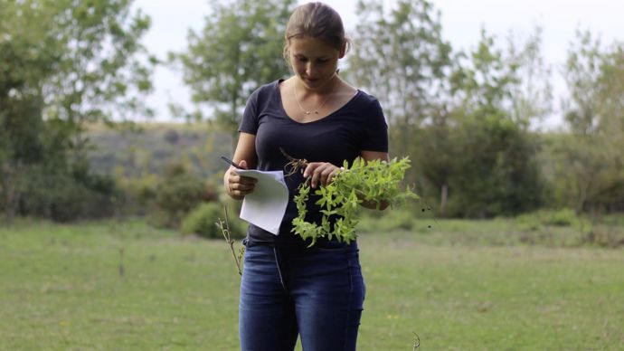 Chloé Rouvreau, technicienne agroenvironnement à la Cavac, a suivi la formation sur l'indice de régénération et la session "technicien du vivant" prodiguées par l'association Pour une agriculture du vivant.