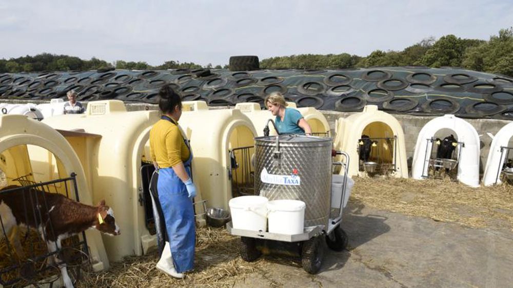 L’application Replace.me ne met pas en relation l’agriculteur et son remplaçant : elle s’assure que le remplacement se passe bien. © Cédric Faimali/GFA