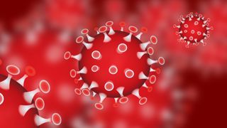 Une illustration du coronavirus responsable de la menace de pandémie de début 2020. © Pixabay Une illustration du coronavirus responsable de la menace de pandémie de début 2020. © Pixabay