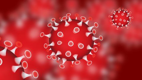 Une illustration du coronavirus responsable de la menace de pandémie de début 2020. © Pixabay Une illustration du coronavirus responsable de la menace de pandémie de début 2020. © Pixabay