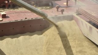 Quatre navires vont exporter près de 130 000 tonnes de céréales vers l'Afrique, l'Asie et l'Europe, selon le gouvernement ukrainien.(image d'illustration). Quatre navires vont exporter près de 130 000 tonnes de céréales vers l'Afrique, l'Asie et l'Europe, selon le gouvernement ukrainien.(image d'illustration).